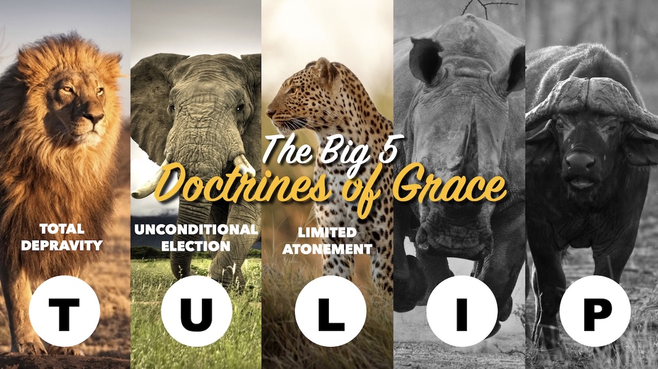 Assurance of Abundant Life