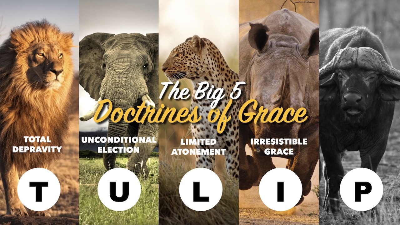 Jesus will certainly give Eternal Life to those who come to Him in faith